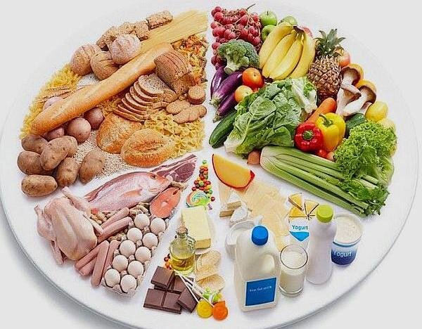 營養(yǎng)物質(zhì)